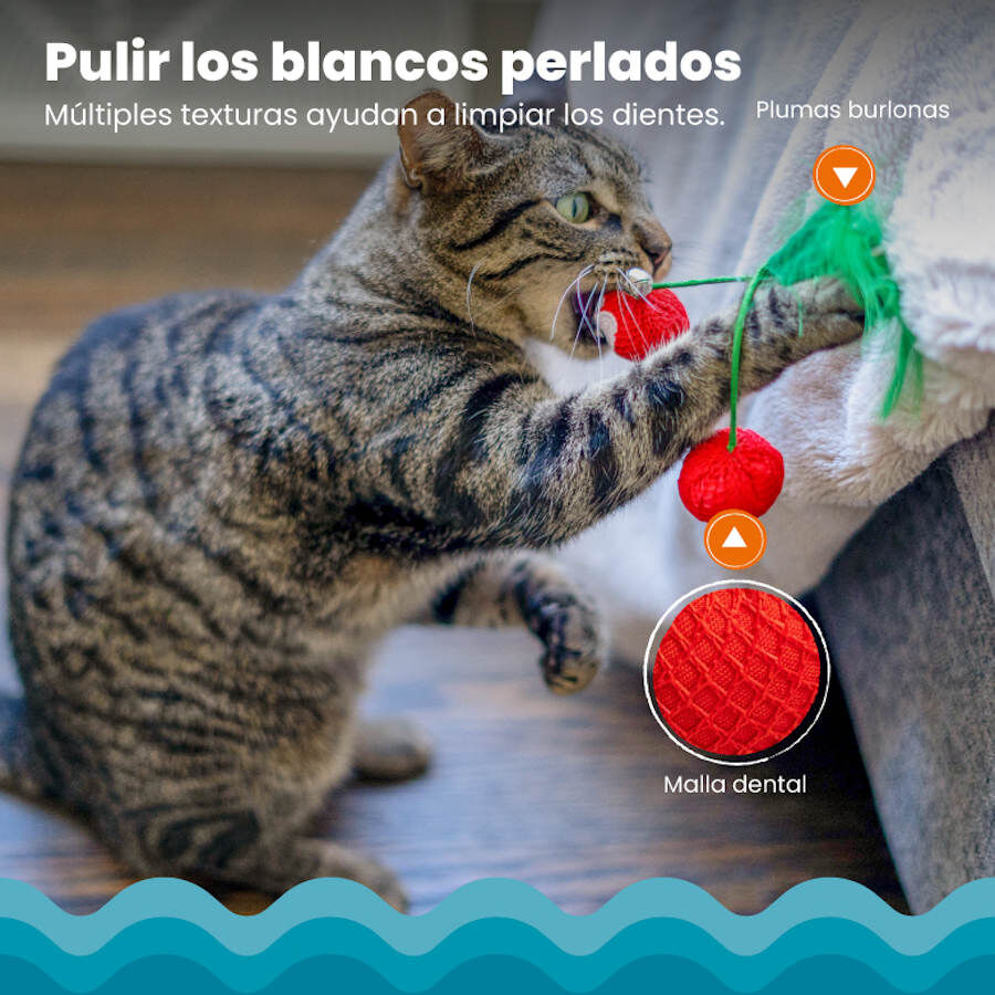Catstages Dental Cherries Peluche Suave de Cerezas para gatos, , large Imagen numero 5
