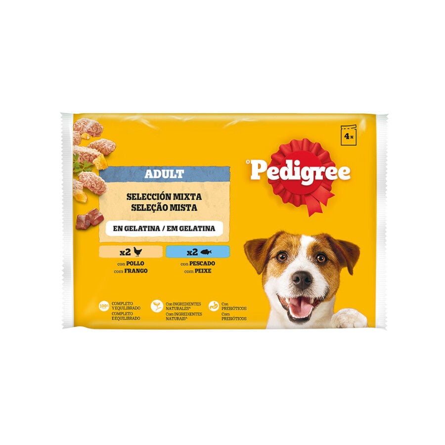 4 sobres x 100 g Pedigree Pollo y Pescado Gelatina en Bolsita para Perros, , large indicador imagen numero 1