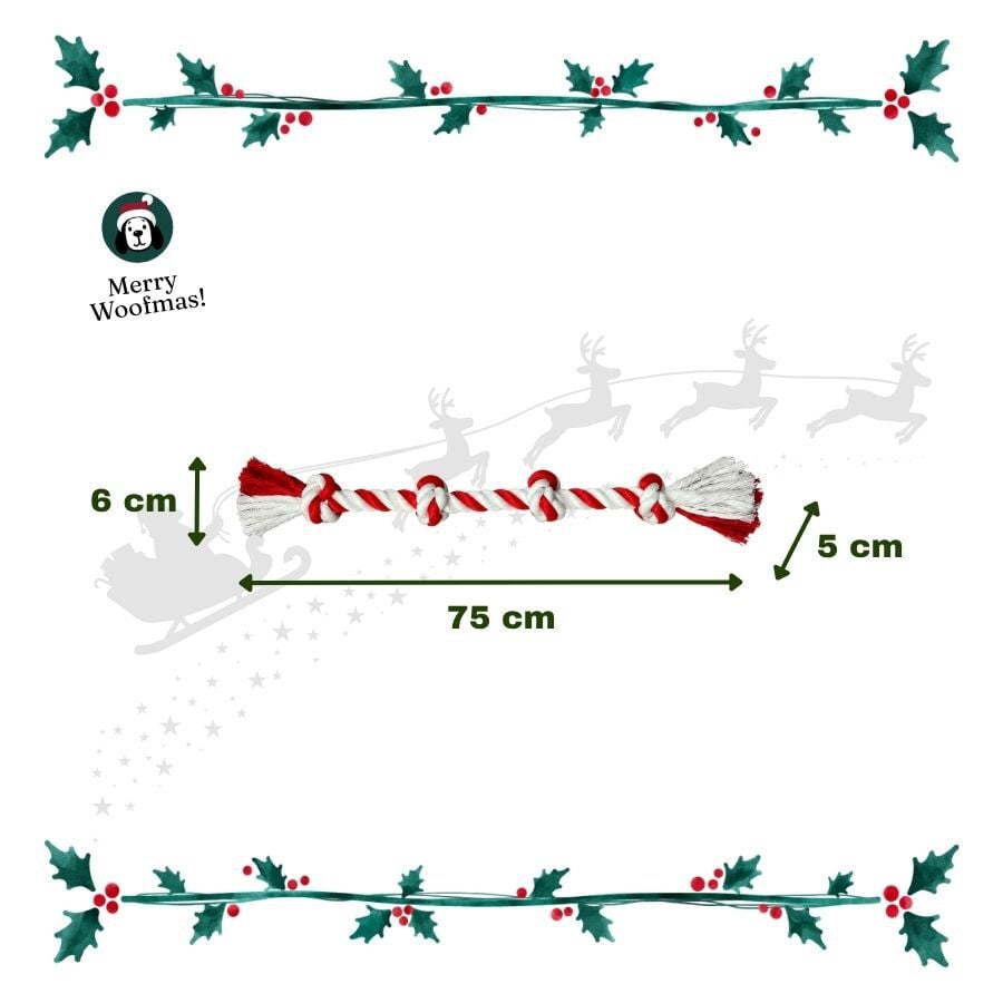 Wonder Christmas Cuerda Forma Caramelo Juguete para perros, , large Imagen numero 3