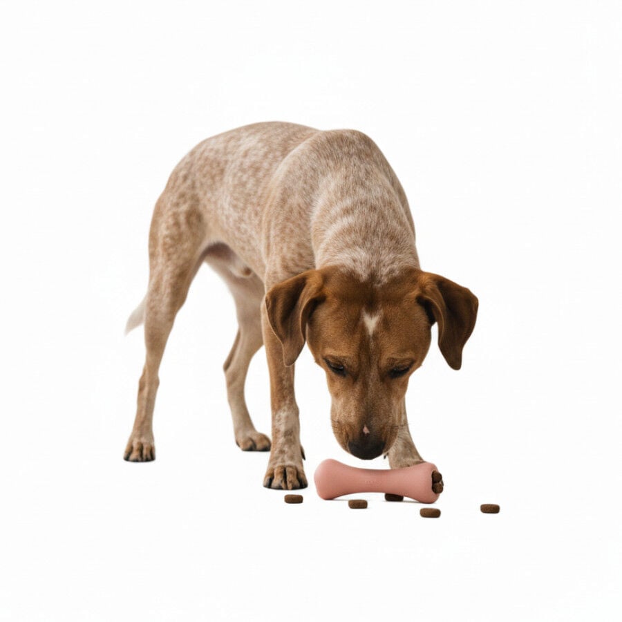 BECO Hueso Portagolosinas de Goma Rosa para perros