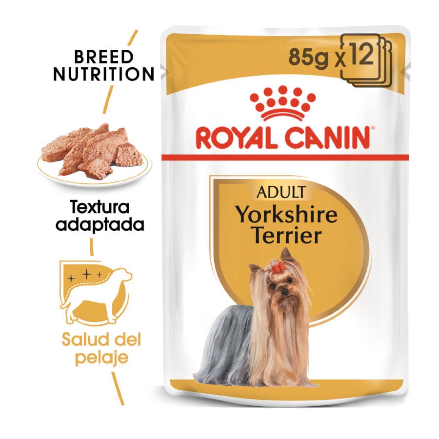 85 g Royal Canin Yorkshire Terrier sobre para perros , , large indicador imagen numero 2