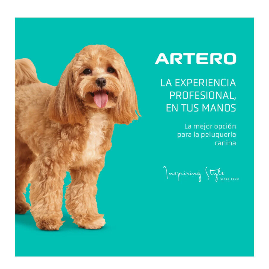 Artero Exo Secador Gris Clarito y Amarillo para perros y gatos, , large indicador imagen numero 5