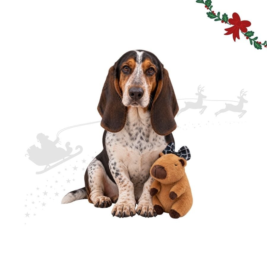 Wonder Christmas Capibara Peluche para perros, , large indicador imagen numero 1