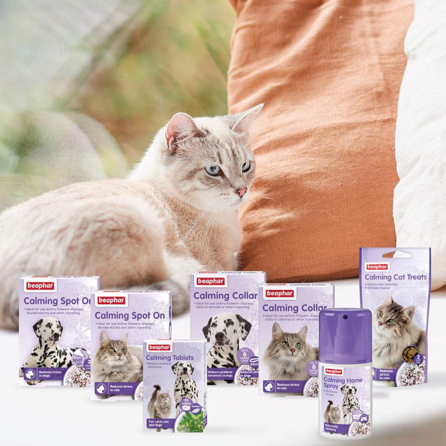 Beaphar Calming Pipetas Relajantes para gatos, , large indicador imagen numero 5