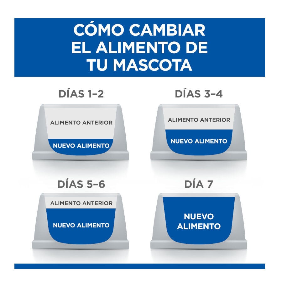 12 sobres x 85 g Hill's Science Plan Adult Pollo, Pescado Azul y Vacuno en Salsa sobre para gatos, , large indicador imagen numero 5