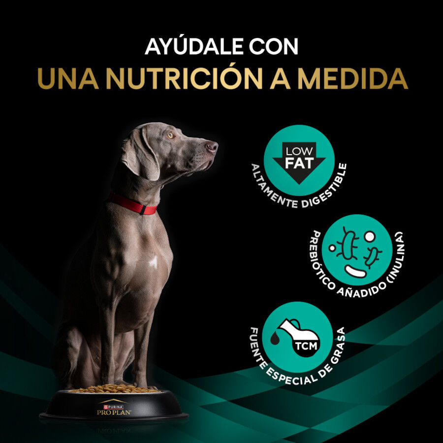 11 Kg Pro Plan Veterinary Gastrointestinal Low Fat para perros, , large indicador imagen numero 3
