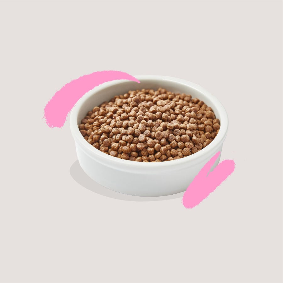 2 kg Edgard & Cooper Kitten Pato y Pollo pienso, , large indicador imagen numero 3