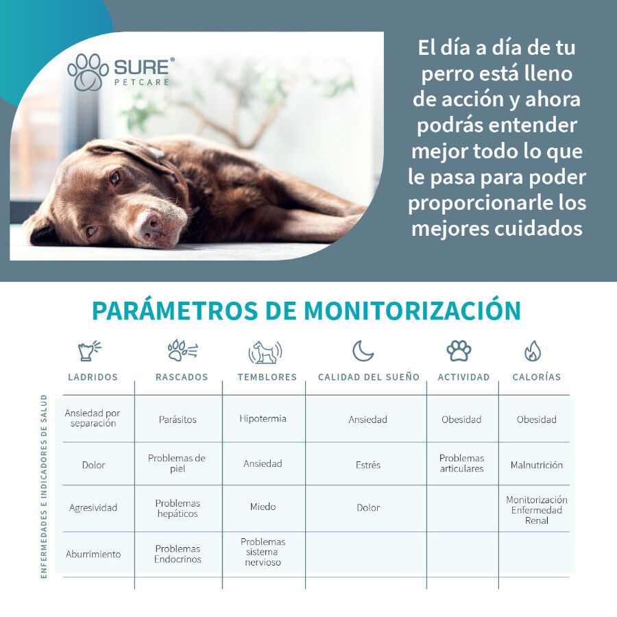 Sure Petcare Animo monitor de Conducta para perros, , large indicador imagen numero 6