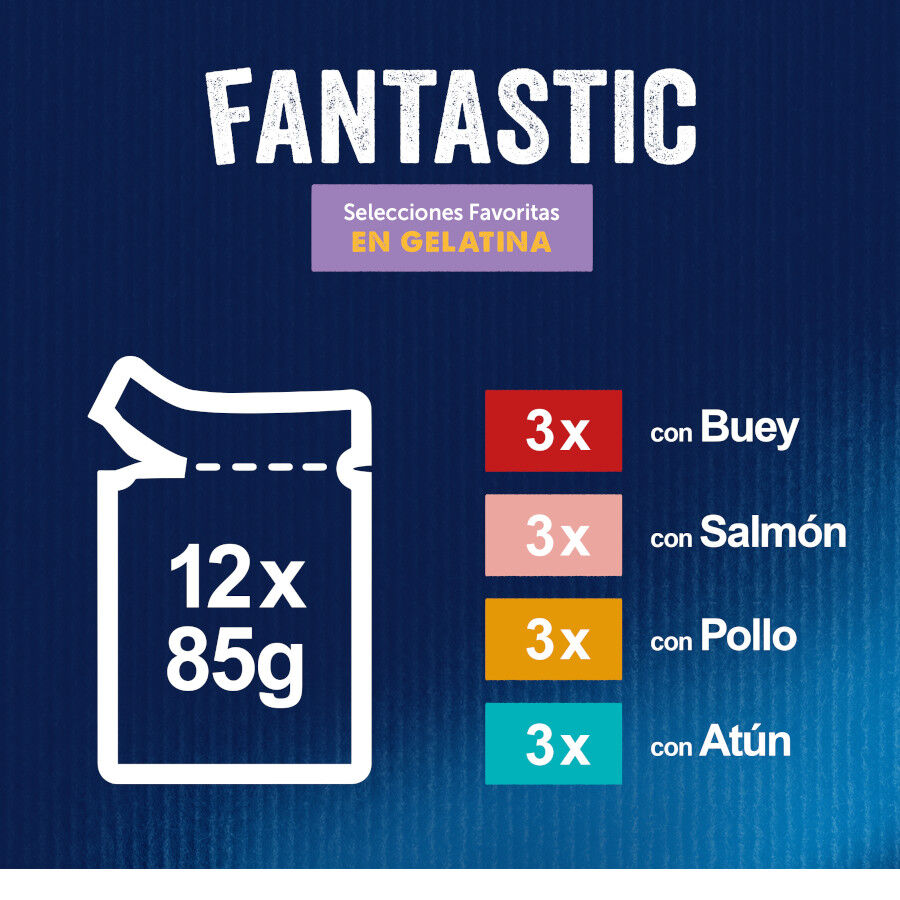 12 sobres x 85 g Felix Fantastic Selecciones Favoritas sobres en gelatina , , large indicador imagen numero 4
