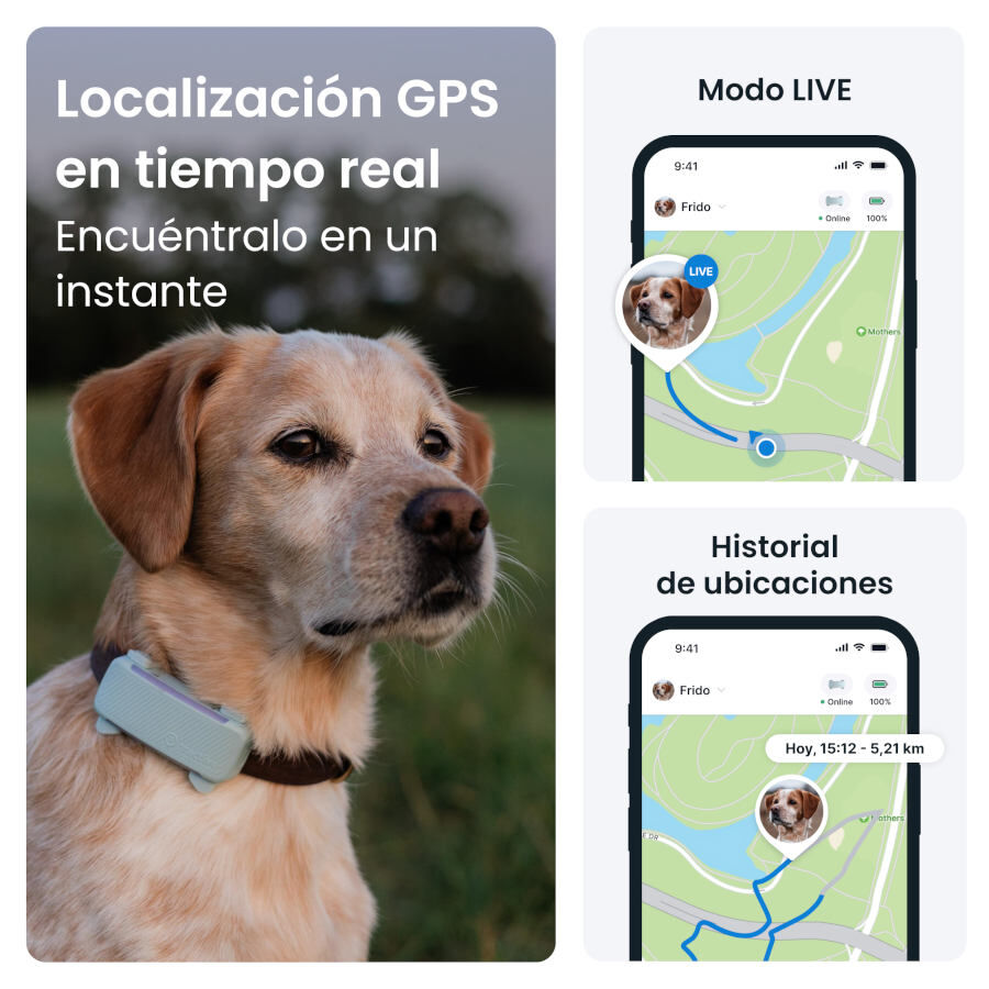 Tractive GPS Dog 6 Marr&oacute;n Rastreador para perros, , large indicador imagen numero 8