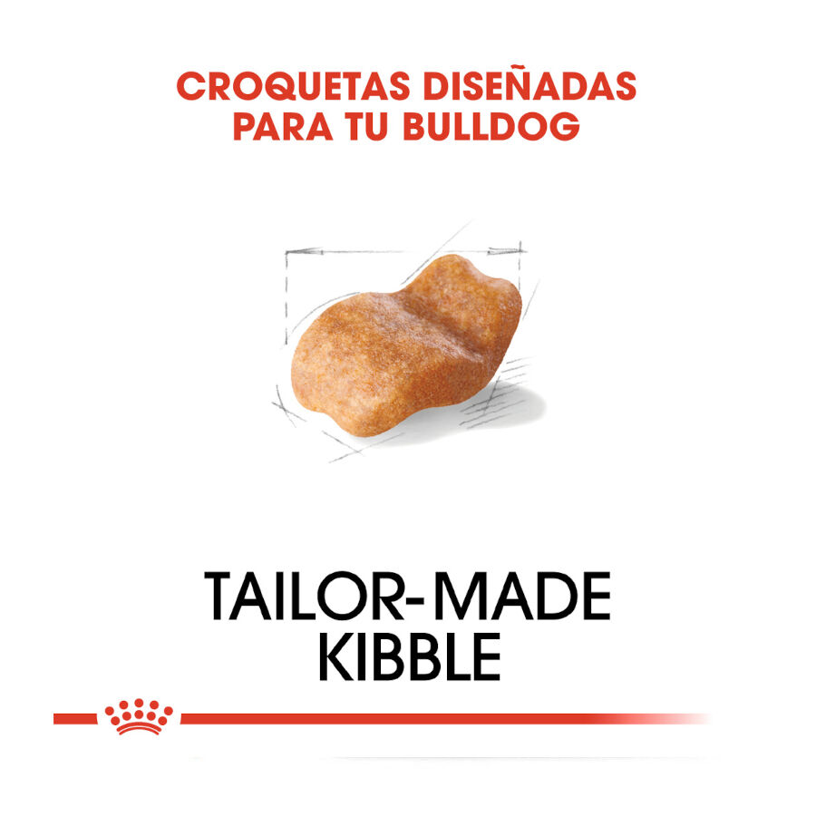 12 kg Royal Canin Adult Bulldog pienso para perros, , large indicador imagen numero 5