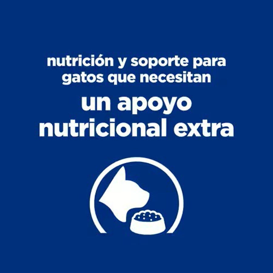1.5 kg Hill's Prescription Diet ON-Care Pollo pienso para gatos, , large indicador imagen numero 4