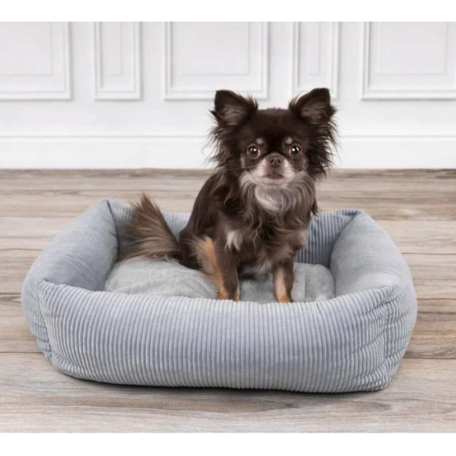 Flamingo Colette Rect&aacute;ngulo Azul cama cuna para perros, , large indicador imagen numero 3