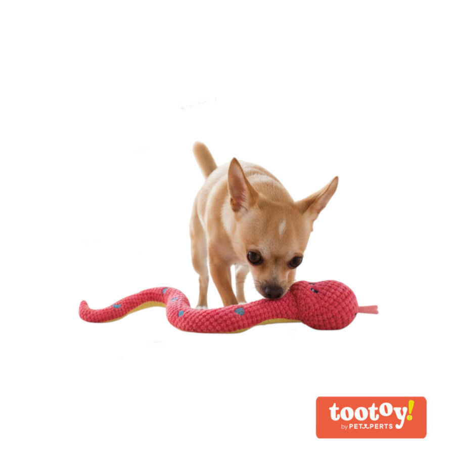 Tootoy! Serpiente Mordedor de Peluche Rosa para perros