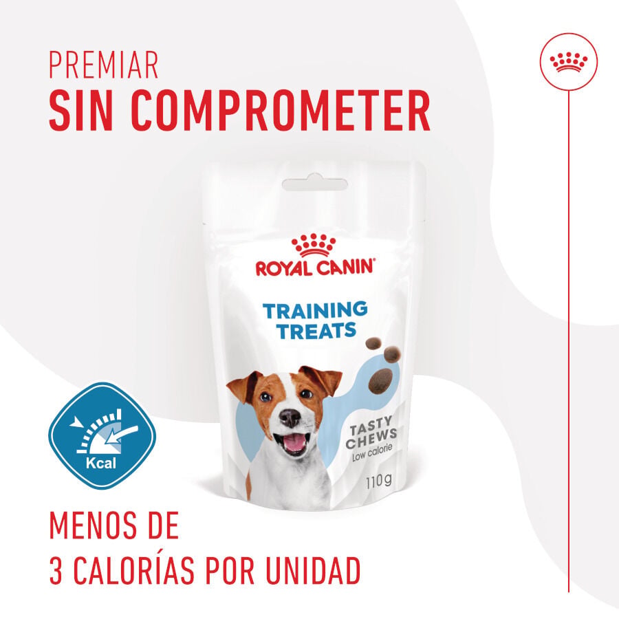 110 g Royal Canin Training Treats Snacks para perros, , large indicador imagen numero 4