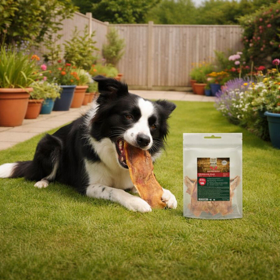 500 g True Origins Wild Tiras de Caravaca Snack para perros, , large indicador imagen numero 1