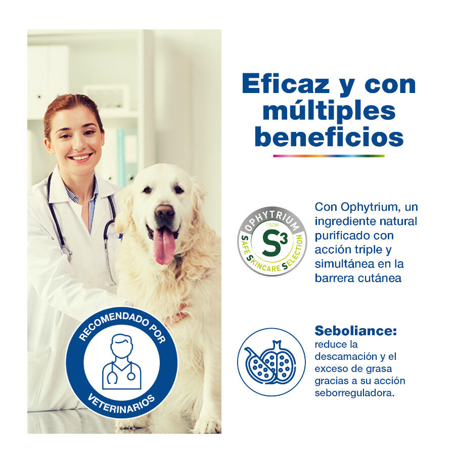 Douxo S3 Seb Champ&uacute; Piel Grasa para perros y gatos, , large indicador imagen numero 4