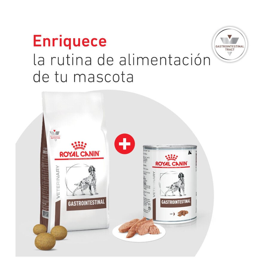400 g Royal Canin Veterinary Diet Gastrointestinal lata para perros  , , large Imagen numero 8