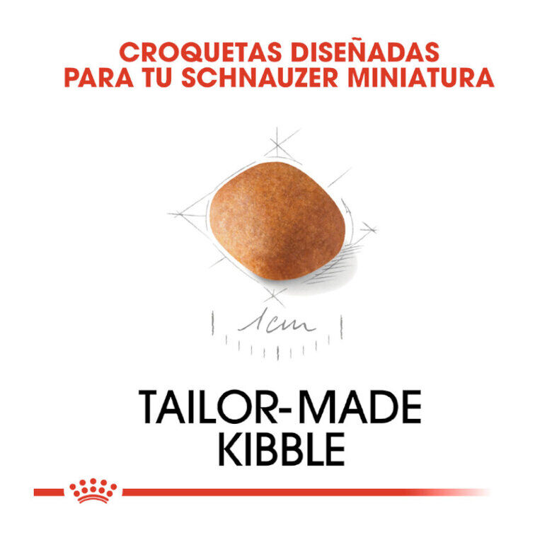 1.5 kg Royal Canin Puppy Miniature Schnauzer pienso para perros, , large indicador imagen numero 6