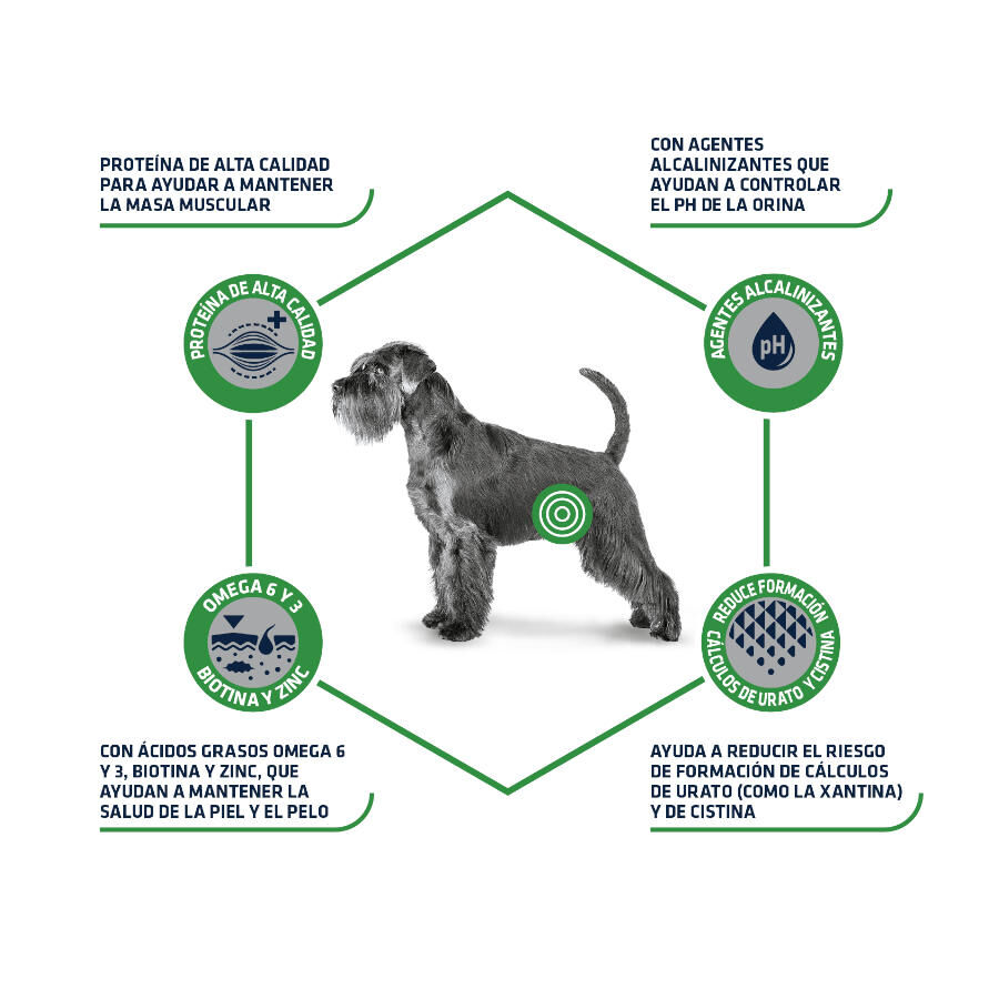 12 kg Advance Dog Leismaniasis Urinary Low Purine pienso para perros, , large Imagen numero 3