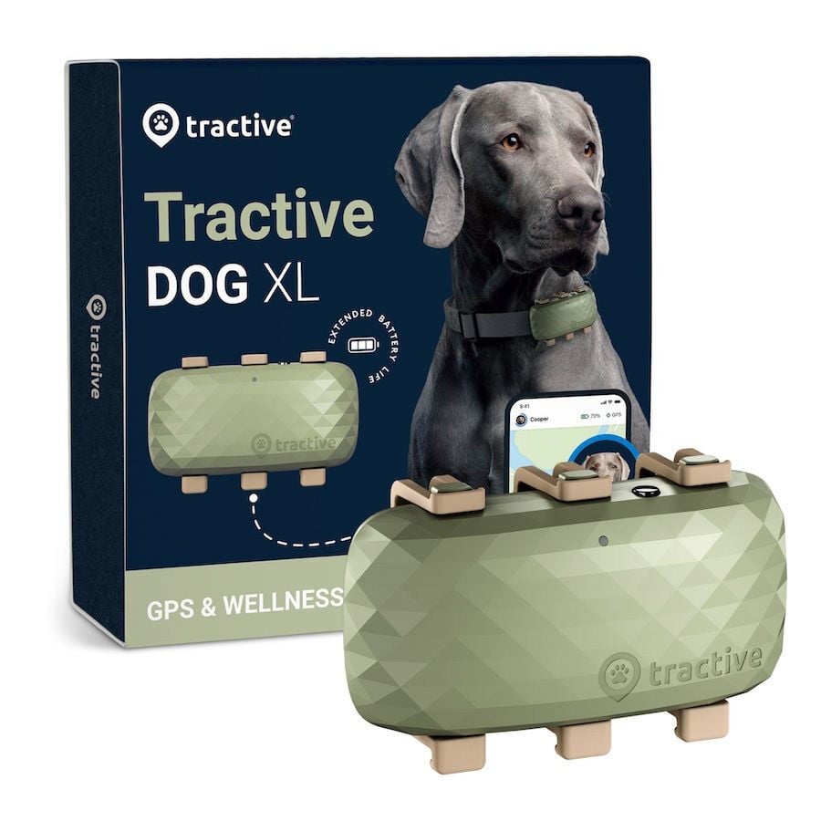 Tractive GPS Localizador XL para perros, , large Imagen numero 1