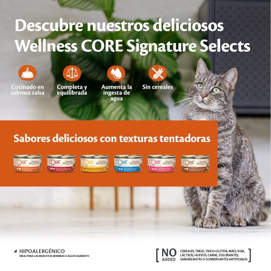 79 g Wellness Core Flaked Salm&oacute;n lata para gatos, , large Imagen numero 3