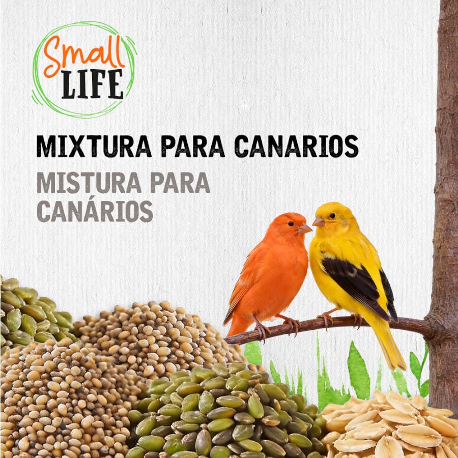 3.7 kg Small Life Mixtura Cubos para canarios, , large indicador imagen numero 3