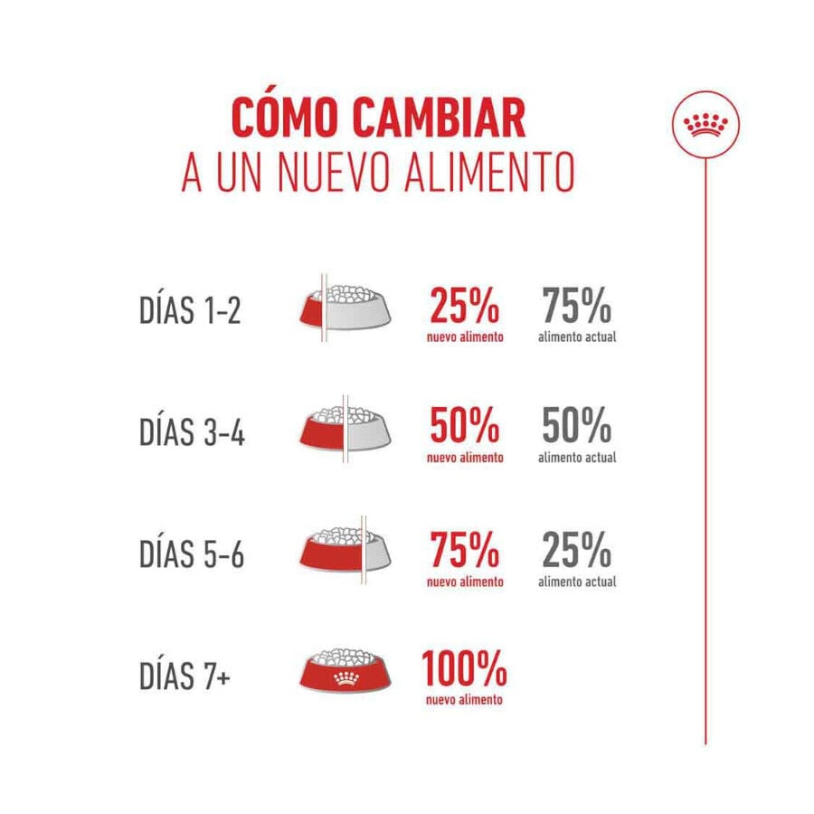 2 kg Royal Canin Ageing 11+ Sterilised pienso para gatos&nbsp;senior, , large Imagen numero 8