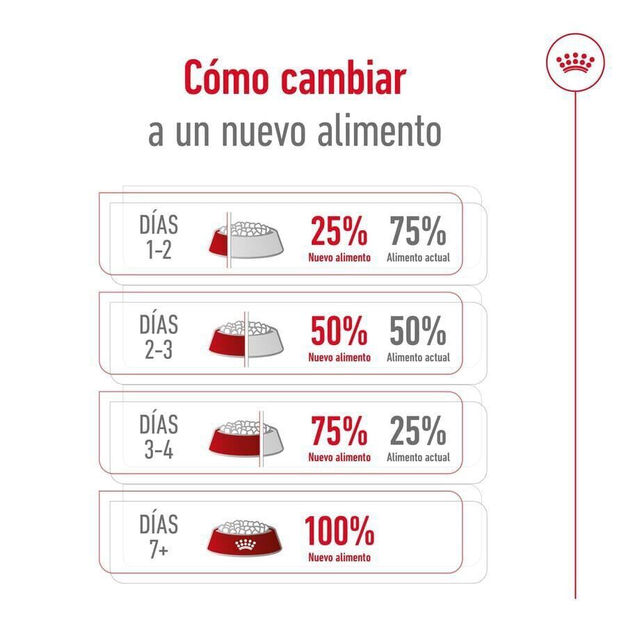 3 kg Royal Canin X-Small Adult pienso para perros, , large indicador imagen numero 10