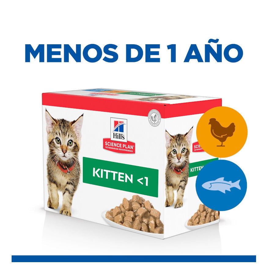 12 sobres x 85 g Hill's Science Plan Kitten Pollo y Pescado sobre para gatos , , large indicador imagen numero 2
