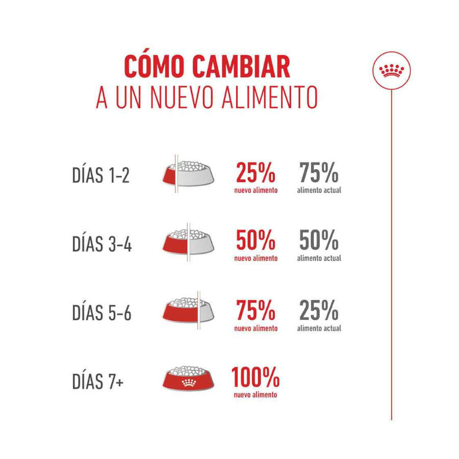 4 kg Royal Canin Ageing 11+ pienso para gatos&nbsp;senior, , large indicador imagen numero 8