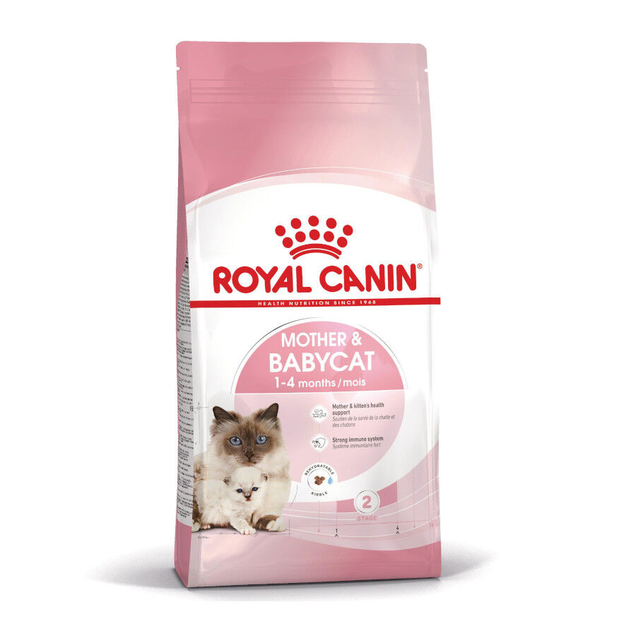 4 kg Royal Canin Mother & Babycat pienso para gatos, , large indicador imagen numero 1