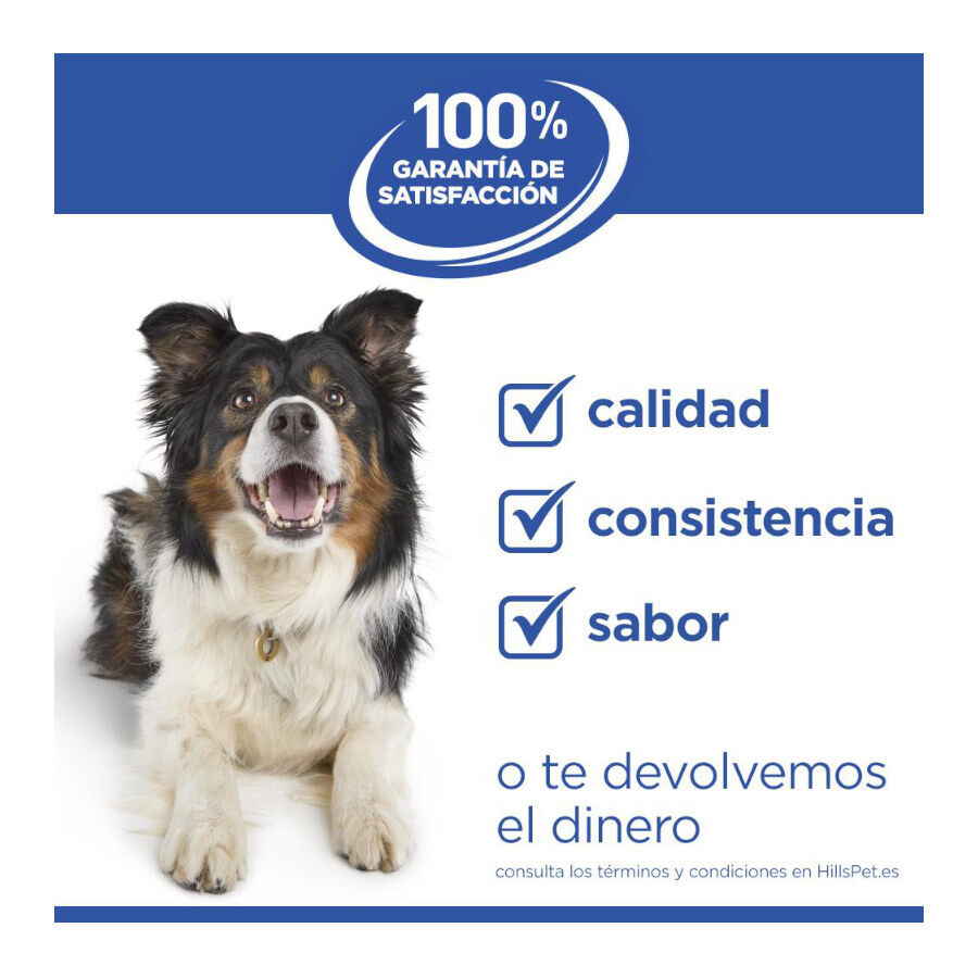 1.5 kg Hill's Science Plan Hipoalerg&eacute;nico Small y Mini Salm&oacute;n pienso para perros, , large indicador imagen numero 6