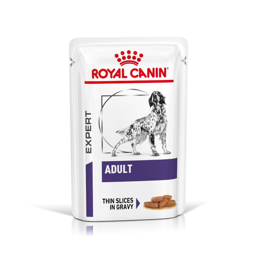 12 sobres x 85 g Royal Canin Expert Adult L&aacute;minas en Salsa sobre para perros, , large indicador imagen numero 1