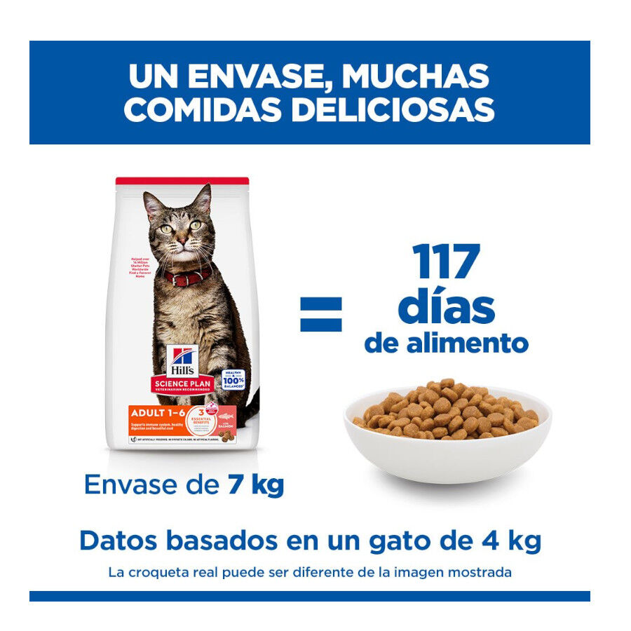 10 kg Hill's Science Plan Adult Pienso Salm&oacute;n para gatos, , large indicador imagen numero 6