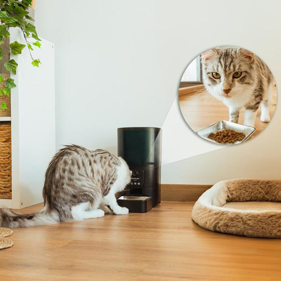 Cecotec Pumba 6000 Purrfect Meal Smart Vision Comedero Autom&aacute;tico para perros y gatos, , large Imagen numero 10