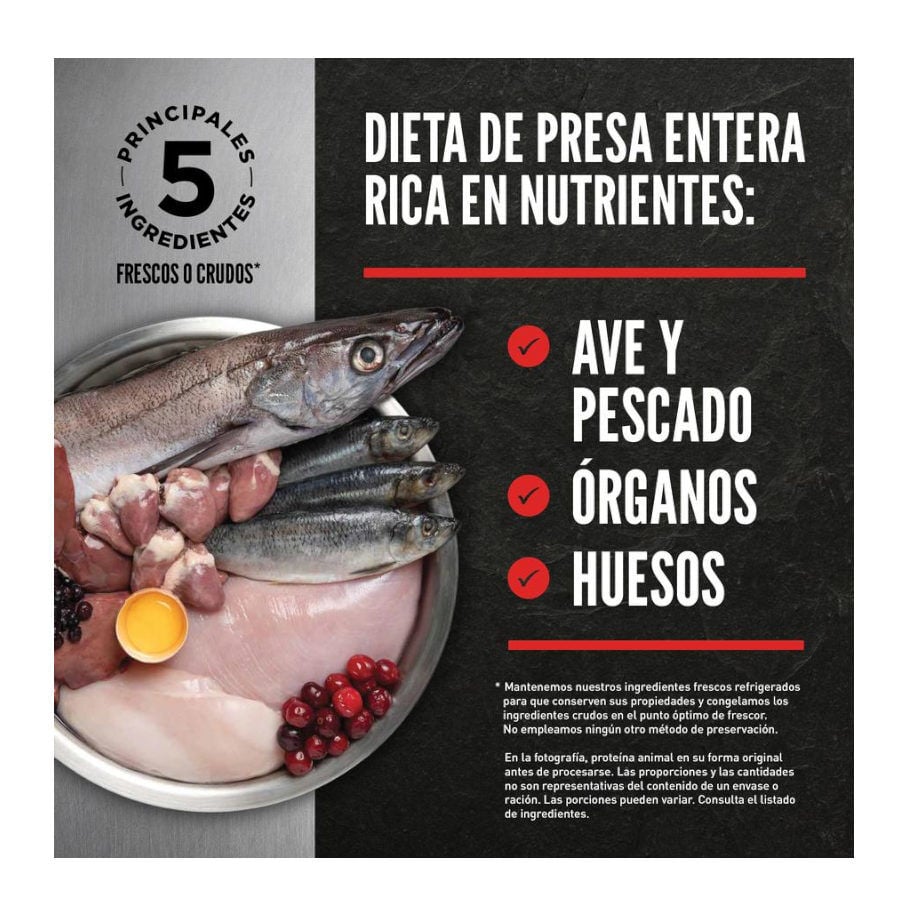 1.8 kg Orijen Kitten Pollo con Pavo y Salm&oacute;n pienso para gatos&nbsp;, , large Imagen numero 3