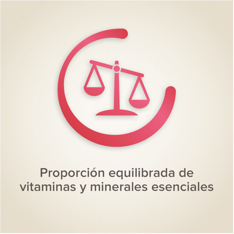 Beaphar Semillas de frutas para p&aacute;jaros, , large Imagen numero 4
