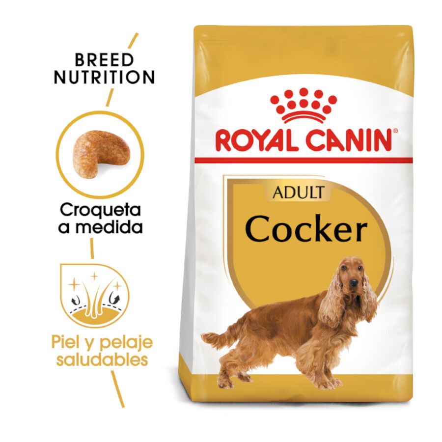 12 kg Royal Canin Adult Cocker pienso para perros, , large indicador imagen numero 2