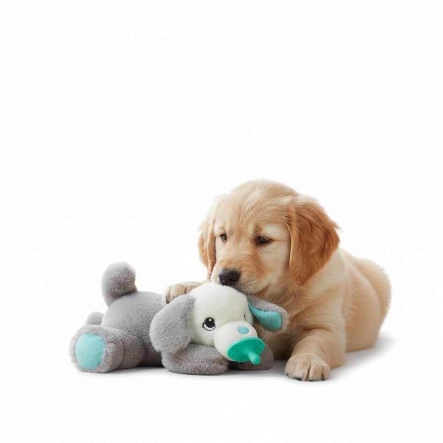 All For Paws Juguete Chupete Heartbeat Blanco para cachorros