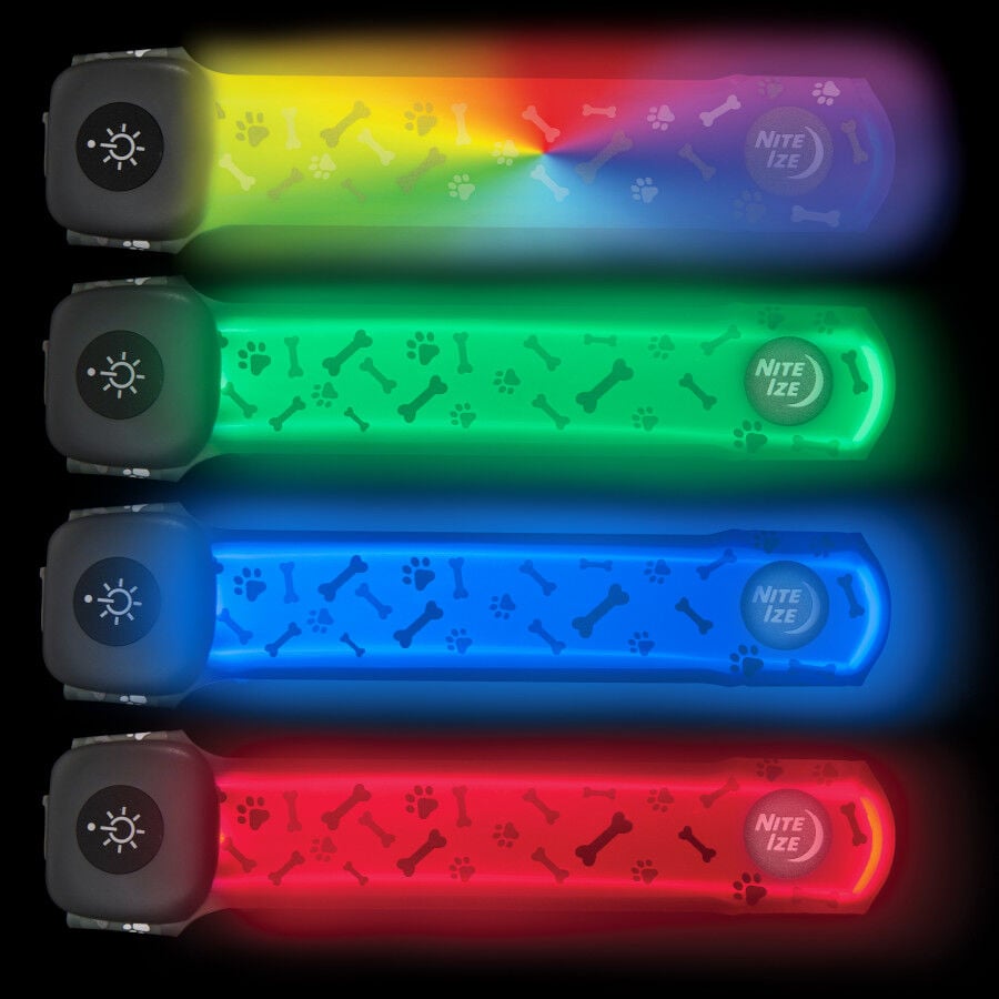 Nite Ize NiteDog Banda LED Recargable para perros, , large Imagen numero 3