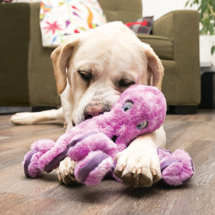 Kong SoftSeas Pulpo de peluche para perros, , large indicador imagen numero 2