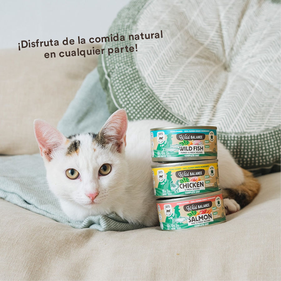 120 g Wild Balance BARF Pollo y Vegetales lata para gatos, , large indicador imagen numero 5