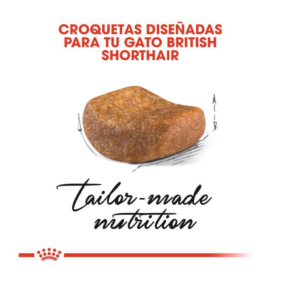 10 kg Royal Canin Adult British Shorthair pienso para gatos, , large Imagen numero 4