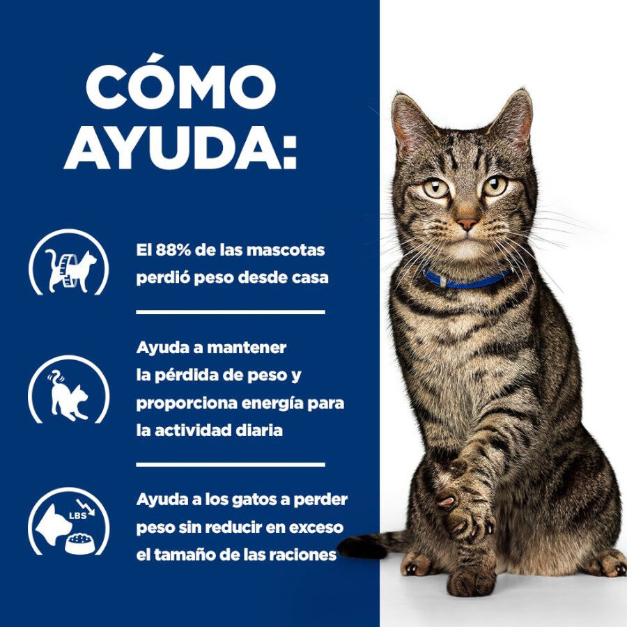 12 kg Hill's Prescription Diet Metabolic pienso para gatos, , large Imagen numero 4