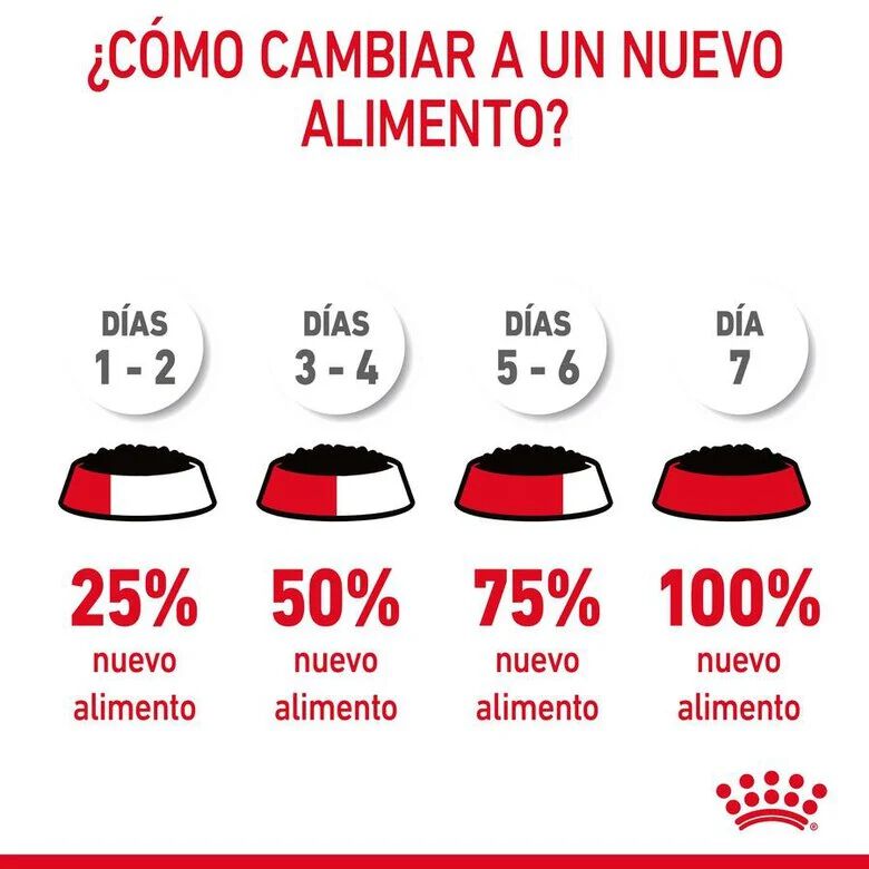 85 g Royal Canin Digestive Sensitive sobre para gatos, , large indicador imagen numero 6