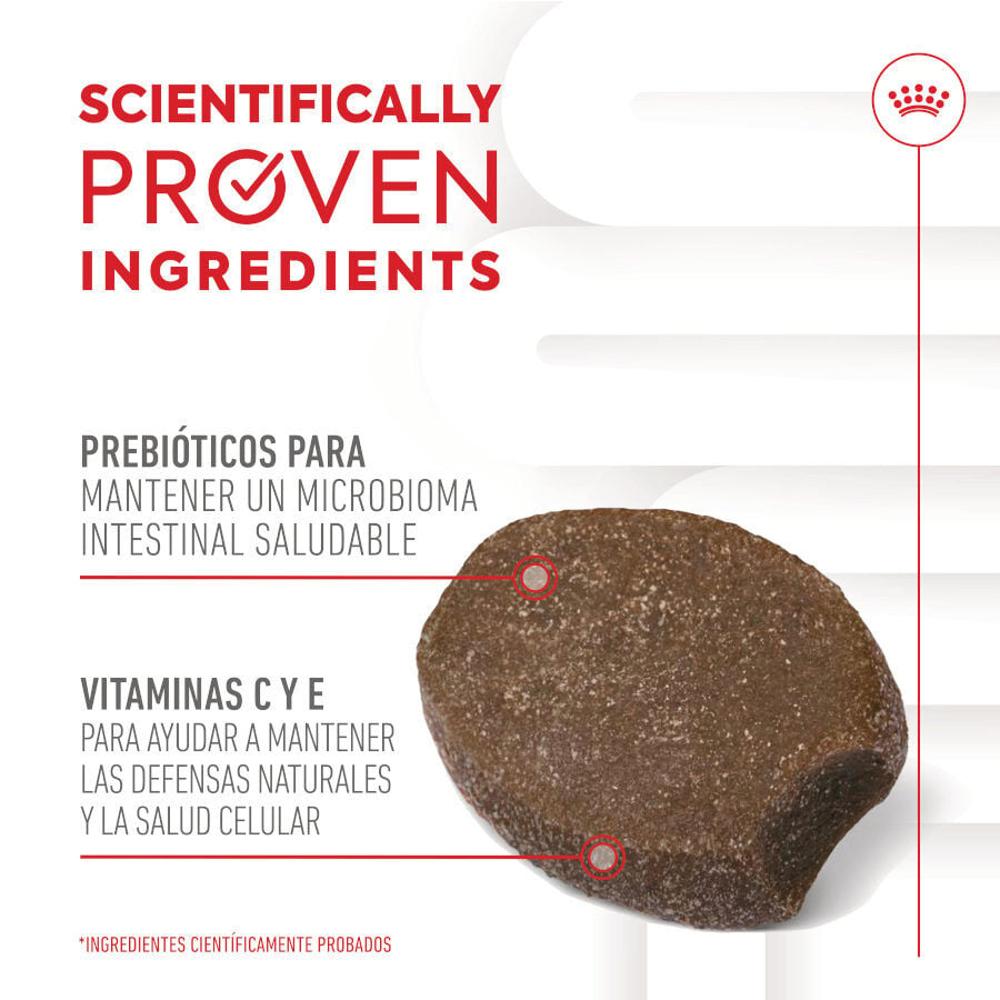100 g Royal Canin Immunity & Digestion Chews Puppy Suplemento nutricional para perros, , large indicador imagen numero 6