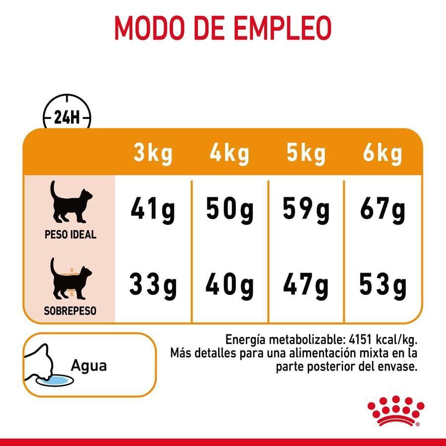 10 kg Royal Canin HairySkin pienso para gatos, , large indicador imagen numero 5
