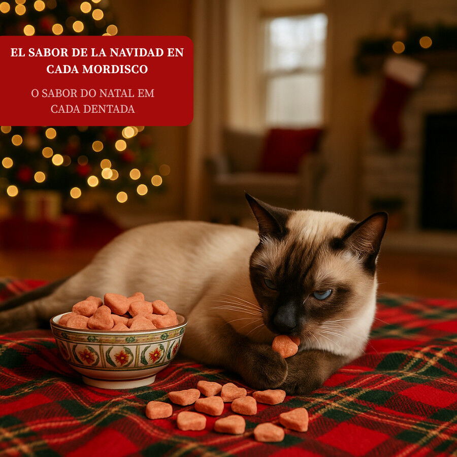 50 g Wonder Christmas Bocaditos Navide&ntilde;os para gatos, , large Imagen numero 4