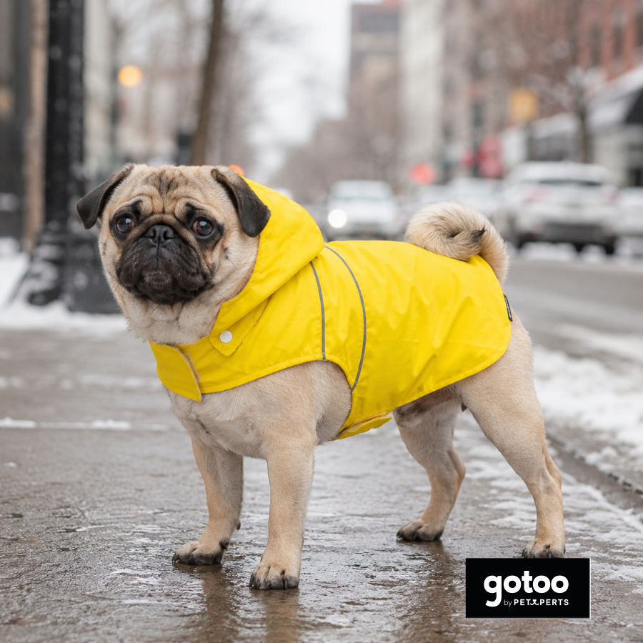 Gotoo Impermeable Reflectante Amarillo para perros